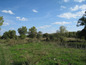 Land for sale near Montana