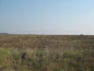 Investment land for sale near Vidin