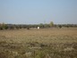 Agricultural land for sale near Yambol