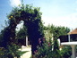 A beautiful arch of greenery and flowers