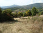 Land for sale near Sofia