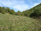 Agricultural land for sale near Sofia