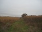Agricultural land for sale in Plovdiv