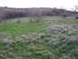 Land for sale near Kardjali