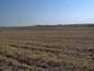 Agricultural land for sale near Sunny Beach