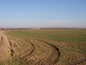 Agricultural land for sale near Stara Zagora