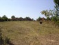 Land for sale near Elhovo