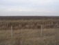 Agricultural land for sale near Plovdiv
