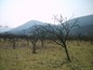Agricultural land for sale near Stara Zagora