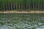 Island for sale near Vidin