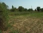 Land for sale near Stara Zagora