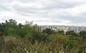 Development land for sale in Sofia