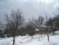 Land for sale near Sofia