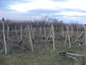 Agricultural land for sale near Montana