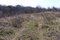 Land for sale near Montana