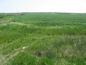 Spacious plot of land near Elhovo