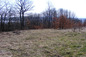 Agricultural land for sale near Montana