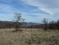 Land for sale near Veliko Tarnovo