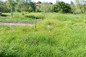 Land for sale near Montana