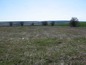 Vast plot of land near Yambol