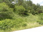 Development land