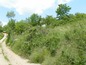 Two plots for sale