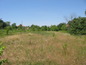 Land for sale near Veliko Tarnovo