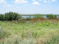 Investment land for sale near Vidin