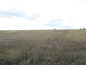 Agricultural land for sale near Vidin