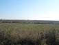 Agricultural land for sale in Vidin