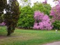 Two plots for sale in the Sea Garden