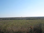 Agricultural land for sale near Vidin