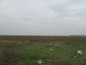 Agricultural land for sale near Vidin