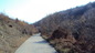 Forest for sale near Veliko Tarnovo