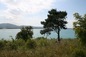 Development land for sale in Sozopol