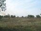 Agricultural land for sale near Vidin