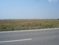 Agricultural land for sale near Vidin