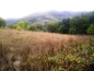 Land for sale near Veliko Tarnovo