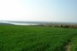 Unregulated plot of agricultural land in Mechka village, Ruse district
