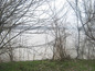 Development land for sale near Vidin