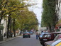 Tthe street