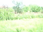 House for sale near Plovdiv, Bulgaria - Lovely house with an excellent garden!