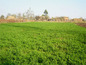 <I>The garden's area is 1950 sq.m. </I>