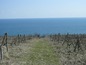 Land for sale in Byala (varna), Bulgaria - Do you want to feel the sea breeze fly through your hair?