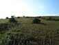Land for sale near Kardjali, Bulgaria - Large plot of land in the mountain, close to a dam