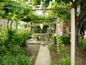 House for sale near Pleven, Bulgaria - A rural sound house - perfect location