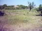 Land for sale near Burgas