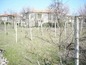 <I>Vineyard in garden</I>
