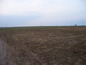Agricultural land for sale in Plovdiv, Bulgaria - A good opportunity to invest in Bulgaria