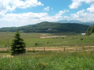 Uzana area